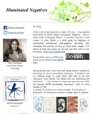 Christine Caldwell, Illuminated negatives, fall 2013 newsletter, fine art projects, contemporary photograms, color photograms, Venice Arts, Printmaking, Bokeh magazine, Christine Caldwell interview, cyanotypes reborn, cyanotypes, modern cyanotypes