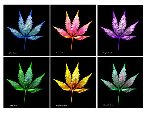 Cannabis, Hemp, Weed