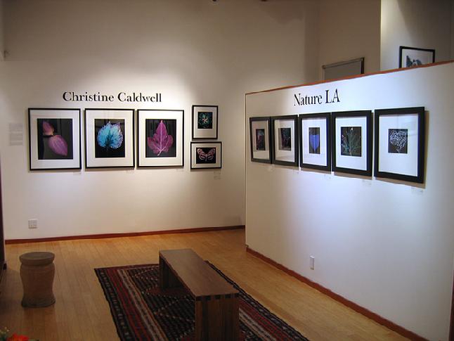G2 Gallery Christine Caldwell